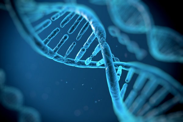 Комплексный анализ генов, связанных с 17 категориями здоровья кожи